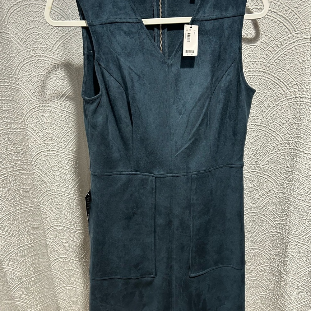 The Limited Suede Blue Dress Size 8